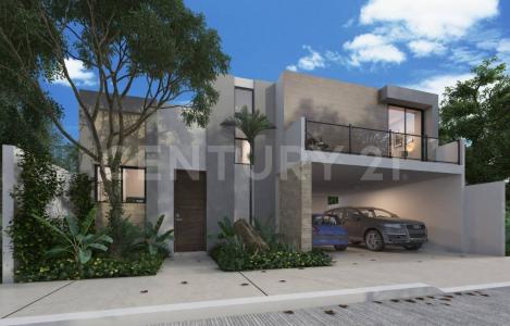 79 Diagonal s/n, Mérida, Yucatán 97300, Mexico