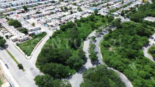 77 X 114 X 106 792, Mérida, Yucatan 97300, Mexico