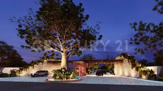 HACIENDA KAPOK  TABLAJE 256, Progreso, 尤卡坦 97320, 墨西哥