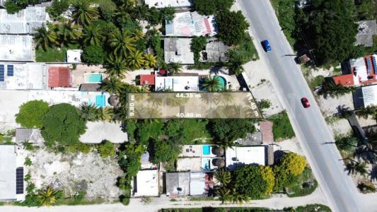 TABLAJE Chelem, Progreso, 유카탄 97322, 멕시코