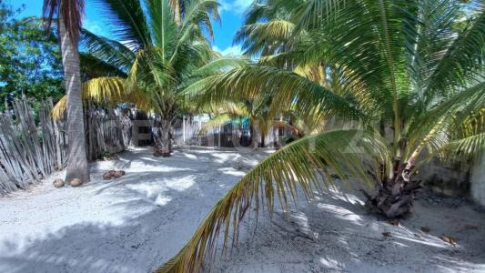 TABLAJE Chelem, Progreso, 유카탄 97322, 멕시코