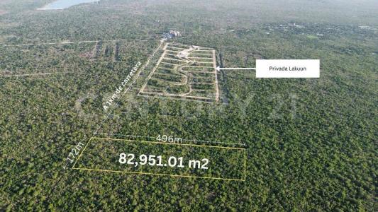 TABLAJE 7931, Mérida, Yucatán 97303, Mexico