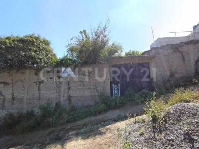 KIWI 92 'A', La Paz, Estado De México 56520, Mexico