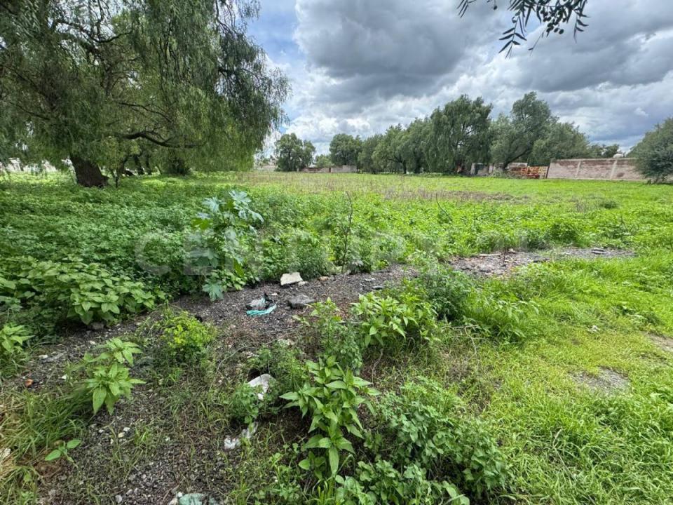 Mesquites S/N, Tecámac, Штат Мехико 55744, Мексика