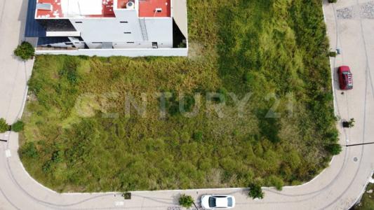 Camino a Vanegas, Fracc Carlota Clúster Flandes 76910 311- 64, Corregidora, Querétaro 76900, Mexico