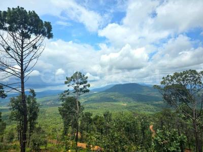 Mirador del Bosque -, Manzanilla De La Paz, Jalisco 49460, Mexico