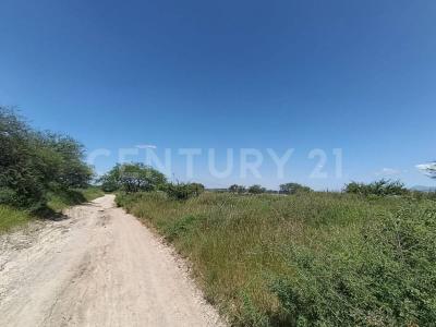 Colinas de los Olmos L21, Silao, Guanajuato 36274, Mexico