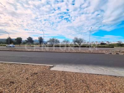 Avenida Monteverde s/n, 奇瓦瓦, 奇瓦瓦 31220, 墨西哥