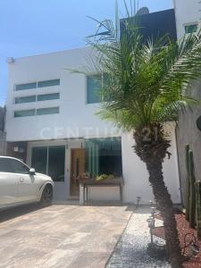 Alvaro Donají S/N, Oaxaca De Juárez, Oaxaca 68020, Mexique