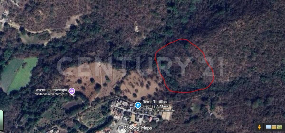 AHUEHUETE 0, Tlayacapan, ولاية موريلوس 62546, المكسيك