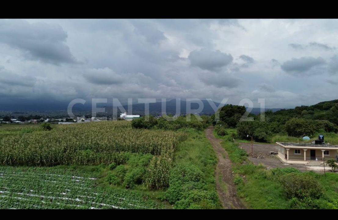 antigua carretera cuautla sn, Atlatlahucan, Morelos 62846, México