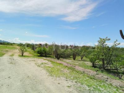 Campestre Lomas de San Pedro S/N, La Paz, Baja California Sur 23240, Mexico