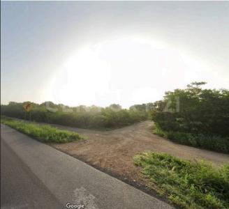 CARR CHICXULUB PTO. S/N, Conkal, Yucatan 97345, Mexique