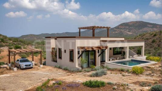 Calle Palo de Arco SN, La Paz, 바하 캘리포니아 수르 23201, 멕시코