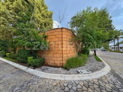 PARQUE SANTO DOMINGO, LOMAS DE ANGELÓPOLIS III , Ocoyucan, Пуэбла 72850, Мексика