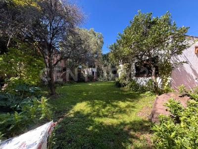 Cerrada de los Pinos , Xochimilco, Ciudad De México 16450, Mexico