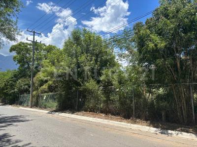 Monterrey, Nuevo León 64990, Mexico