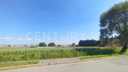 Alamo , Metepec, Stato Del Messico 52148, Messico