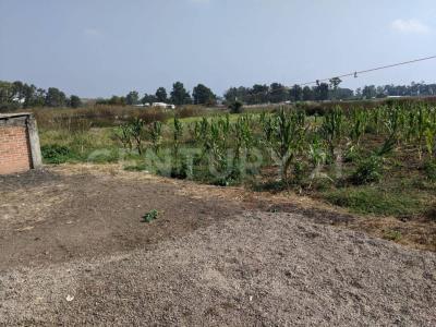 San José de Cerquillas SN, Alvaro Obregón, Michoacán 58928, Mexico