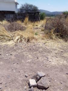 San Juanito Itzícuaro SN, Morelia, Michoacán 58341, Messico