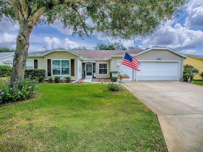 4949 Sawgrass Lake Circle, LEESBURG, Floride 34748, États-Unis