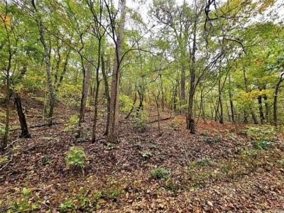 0000 S 4760 Road, Westville, Oklahoma 74965