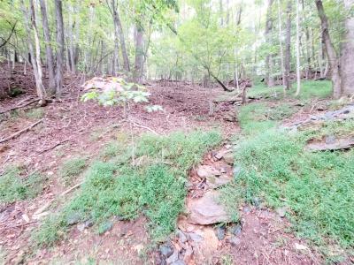 47 Sourwood Drive #197 Lot #197, Mills River, Karolina Północna 28759, USA