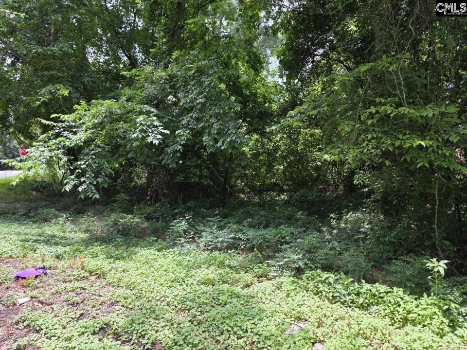 2729 Harlem Street, Columbia, דרום קרוליינה 29209, ארצות הברית של אמריקה