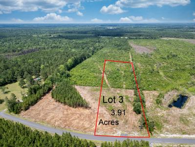 Tbd Bellaire Dr. Lot 3, Nichols, South Carolina 29581, USA