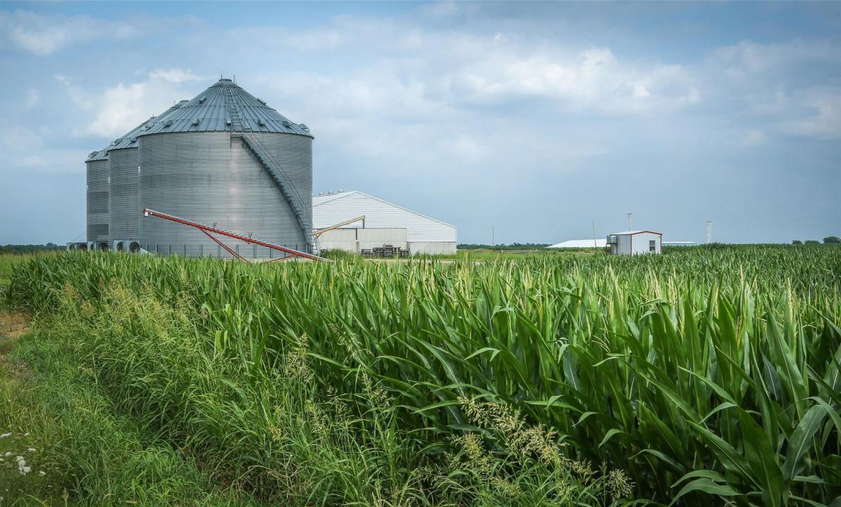 300 Pr 14030, Blossom, Texas 75416