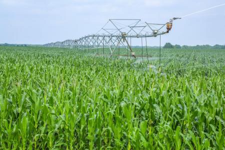 300 Pr 14030, Blossom, Texas 75416