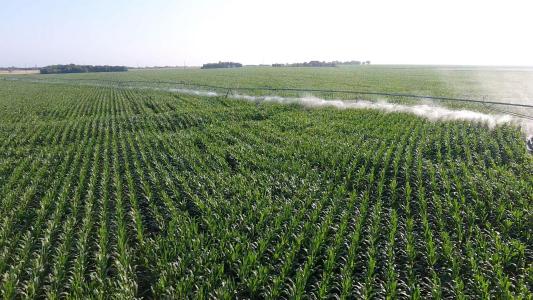 300 Pr 14030, Blossom, Texas 75416