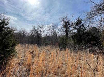 Shumway - Lot 14 Lot 14 Toad Road, Harrah, Oklahoma 73045, USA