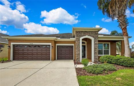 31518 Bearded Oak Drive, Wesley Chapel, Florida 33543, USA