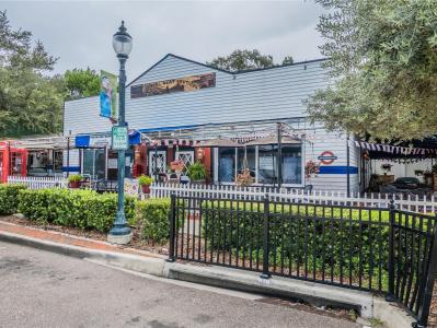 322 N Alexander Street, Mount Dora, Florida 32757, USA