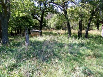 2343 County Road 1350, Blanchard, Oklahoma 73010