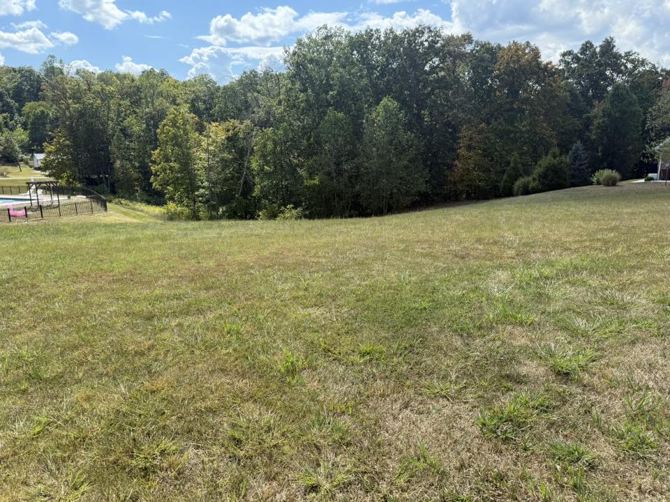 4028 Dickerson Road, Ashland, 肯塔基州 41102, 美國