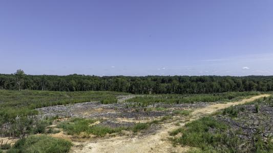 Cowens Bridge Road, Gray Court, South Carolina 29645