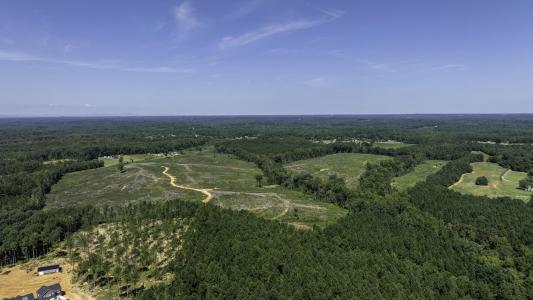 Cowens Bridge Road, Gray Court, South Carolina 29645