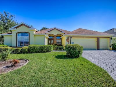 4849 Sable Ridge Court, LEESBURG, Floride 34748, États-Unis