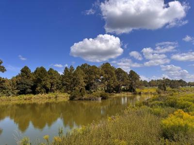 50 Margaret Ln, Tifton, Georgia 31793