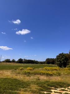 50 Margaret Ln, Tifton, Georgia 31793