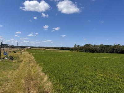 50 Margaret Ln, Tifton, Georgia 31793