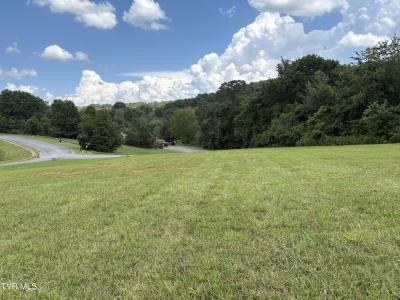 .92 Ac Bedford Circle, Greeneville, Теннесси 37743, Соединенные Штаты