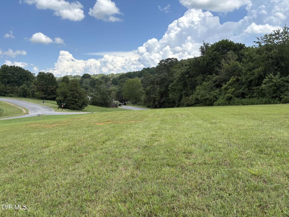 .92 Ac Bedford Circle, Greeneville, Tennessee 37743, Estados Unidos