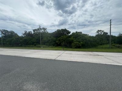 4026 N Orange Blossom Trail, Mount Dora, Florida 32757, USA