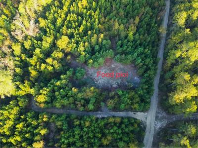 644 Ash-harrel Loop, Abbeville, Georgia 31001