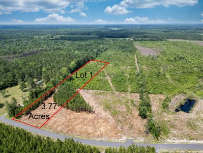 Tbd Bellaire Dr. Lot 1, Nichols, South Carolina 29581, USA