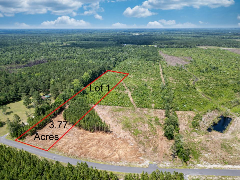 Tbd Bellaire Dr. Lot 1, Nichols, South Carolina 29581, Stati Uniti