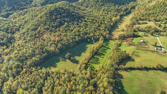 276 Long Branch Road, Berea, Kentucky 40403, USA